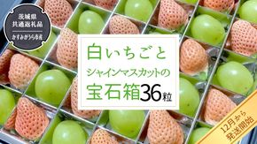 白いちご と シャインマスカット の 宝石箱 36粒 【令和6年12月から発送開始】（県内共通返礼品：かすみがうら市産） 果物 フルーツ いちご イチゴ 白苺 ぶどう マスカット ギフト プレゼント [BI343-NT]