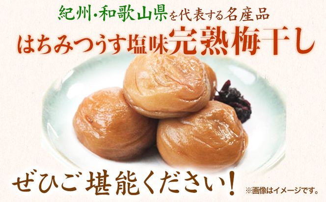 紀州南高梅使用 はちみつうす塩味完熟梅干し 800g 厳選館《90日以内に出荷予定(土日祝除く)》和歌山県 日高町 梅干し はちみつうす塩梅 紀州南高梅 送料無料---wsh_gsk91_90d_25_15000_1p---