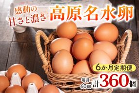 [定期便／6ヶ月] 高原名水卵 60個×6か月連続 豊かな自然で育ったアスタキサンチン含有の高原名水卵【感動の甘さと濃さ】｜こだわり卵 たまご タマゴ 玉子 生卵 鶏卵 高原養鶏場 矢板市産 