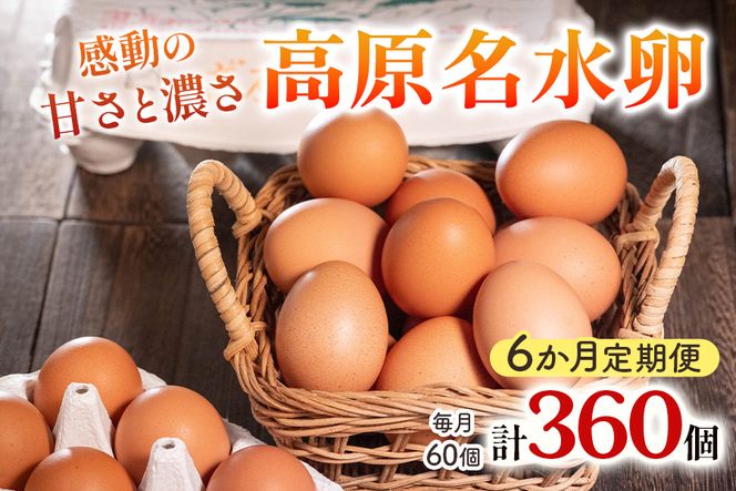 yȖ،sz[ց^6]  60×6A LȎRňAX^LT`ܗL̍ẙÂƔZzb藑 ܂ ^}S ʎq  { {{ sY