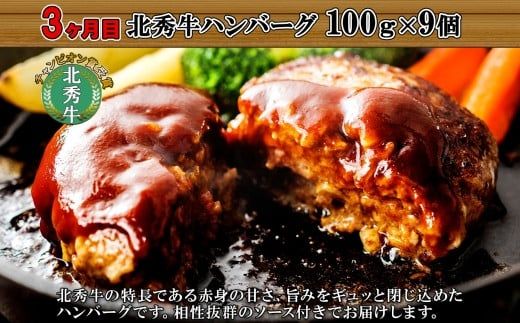 定期便 北海道 しほろ ハンバーグ 全4回 しほろ牛 道の駅 ピア21しほろ 北秀牛 ビーフ ハンバーグステーキ beef 牛肉 赤身肉 国産牛 肉 セット 加工品 おかず 惣菜 お惣菜 国産 冷凍 詰合せ お取り寄せ 送料無料 十勝 士幌町【X23a】