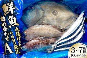 鮮魚 詰め合わせ A 3～7魚種 100サイズ分 [さんりくみらい 宮城県 気仙沼市 20563531] 産地直送 旬 魚介 魚 さかな 