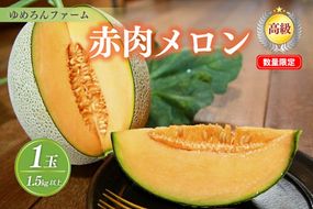 【先行予約／数量限定100】ゆめろんファームの赤肉メロン（2026年6月上旬～発送）　DE00154