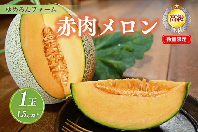 ys{Oszys\^ʌ100z߂t@[̐ԓi2026N6{`j@DE00154