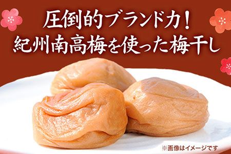 紀州南高梅使用れーずん入り完熟梅干し 800g 厳選館 《90日以内に出荷予定(土日祝除く)》 和歌山県 日高川町 紀州南高梅 れーずん レーズン 梅干し---wshg_tmt184_90d_24_14000_1p---