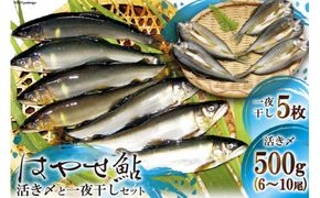 宮城県加美町産 厳選「はやせ鮎」活き〆500g・一夜干し5枚セット [宮城鮎工房 宮城県 加美町 44581310]