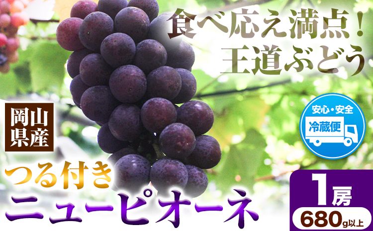 岡山県産ニューピオーネ(1房680g以上)1房入り 令和8年産先行受付[2026年9月中旬‐10月下旬頃出荷][配送不可地域あり]---H-33b---