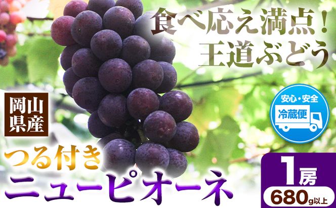 岡山県産ニューピオーネ（1房680g以上）1房入り 令和7年産先行受付《9月上旬‐10月中旬頃出荷》【配送不可地域あり】---H-33a---