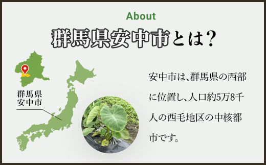 土づくりからこだわったほくほく里芋【５kg】  ANAR003