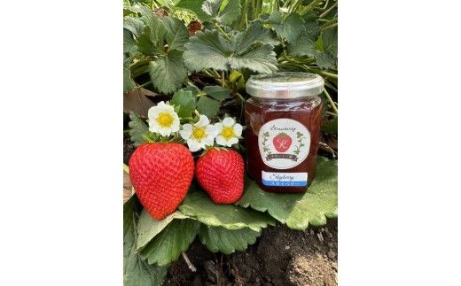 【数量限定】無添加 4種のいちごジャム（ミルキーベリー スカイベリー とちあいか とちおとめ）｜ 栃木県 さくら市 イチゴ 苺