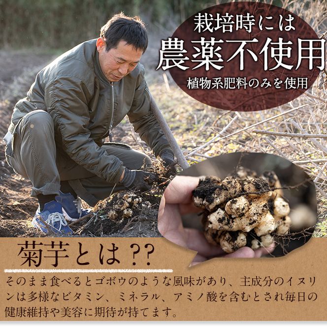 【22726】ノンカフェイン菊芋コーヒー(10包入×6パック)【へつか屋しまこ農園】