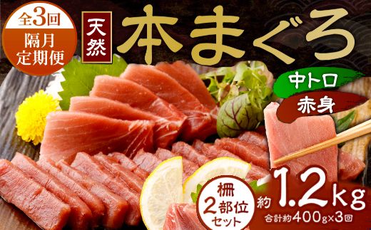 [ 定期便 全3回 隔月 お届け ]まぐろの王様!天然本まぐろ味わいセット 2カ月に1回 合計3回 サク 柵 スライス 切落し セット 天然 天然まぐろ 天然マグロ まぐろ マグロ 鮪 刺身 お刺身 食べ比べ 高知 室戸 冷凍 小分け 便利 39,000円 送料無料 室戸 mgr all