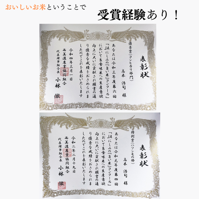 BI-12 【特別栽培米】垂井町産ハツシモ10kg
