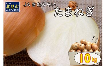 【予約：2024年10月上旬から順次発送】北海道 JAきたみらい「たまねぎ」10kg ( 期間限定 野菜 玉ねぎ 玉葱 )【005-0001-2024】