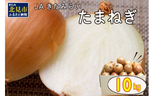 【予約：2024年10月上旬から順次発送】北海道 JAきたみらい「たまねぎ」10kg ( 期間限定 野菜 玉ねぎ 玉葱 )【005-0001-2024】