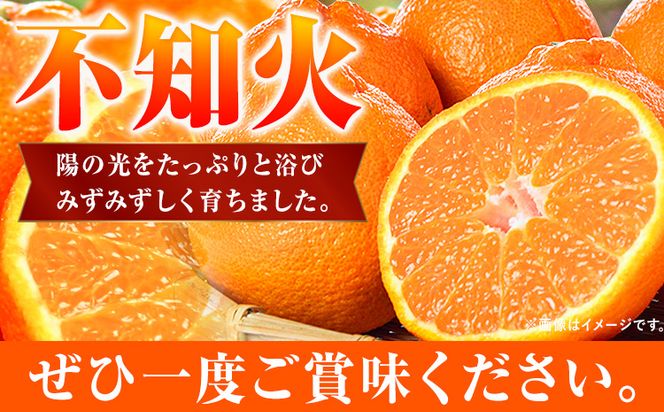 【先行予約】紀州有田産 不知火 ( デコポン と同品種 ) 約 5kg 株式会社魚鶴商店《2025年2月上旬-3月下旬頃より出荷予定》 和歌山県 日高町 不知火 しらぬい 柑橘 ご家庭用 デコポン 訳ありデコポン でこぽん---wsh_uot16_ab23_23_14000_5kg---