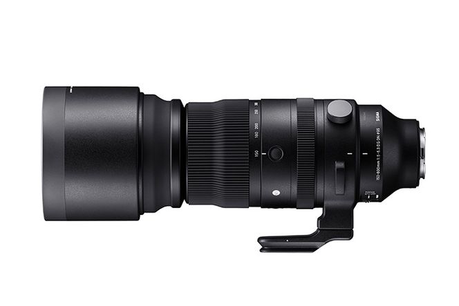 SIGMA 150-600mm F5-6.3 DG DN OS | Sports【ソニーEマウント】