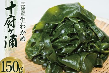 生わかめ 三陸産 十府ヶ浦 150g わかめ 海藻 [マルニシ 宮城県 気仙沼市 20563262] 三陸わかめ