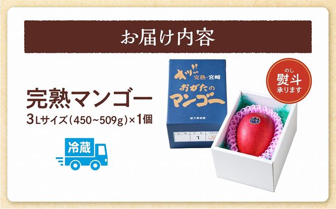 【期間・数量限定】おがたのマンゴー　完熟宮崎マンゴー　3Lサイズ（450～509g）×1個_M161-007_01