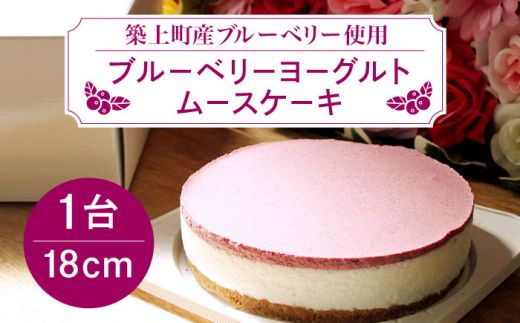 【築上町産ブルーベリー使用】 ブルーベリー ヨーグルト ムース ケーキ《築上町》【(有)工房よしかわ】 国産 ブルーベリー [ABAK002]