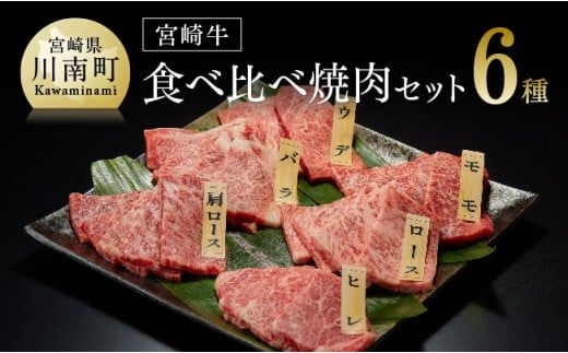 宮崎牛 焼肉 6種 食べ比べ セット 【 肉 牛肉 国産 黒毛和牛 】 [D0645]