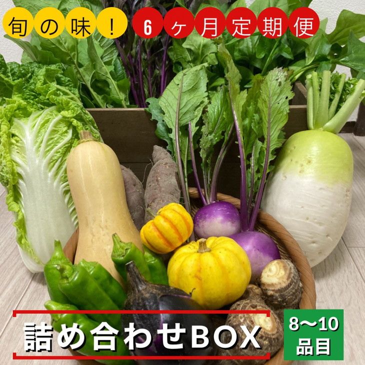 [6回定期便]旬の味!お野菜 詰め合わせBOX 8〜10品目×6回(栽培期間中 農薬・化学肥料不使用) [めぐる農園]京都 亀岡 京野菜 農家より直送