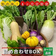 【6回定期便】旬の味！お野菜 詰め合わせBOX 8～10品目×6回（栽培期間中 農薬・化学肥料不使用） 【めぐる農園】京都 亀岡 京野菜 農家より直送