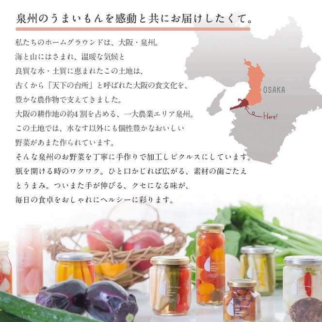 005A715 【圧倒的企業努力】担当者が選んだピクルス 2本セット うずら卵／水なすピクルス和風mix NSW＜スピード発送＞