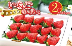 099H2854 【先行予約】完熟新鮮 いちご 食べ比べ 2パック 合計540g以上