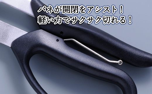 H9-103 ALLEX スーパーハードはさみ【波板用】一枚刃はさみ（SH-3 17213）