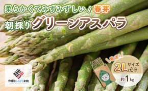 [先行受付]2025年産 柔らかくて瑞々しい朝取りグリーンアスパラ(春芽)2L 1kg【配送不可地域：離島】 BHRG029