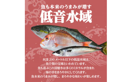【海幸】漬け魚詰合せFK-01　K065-003