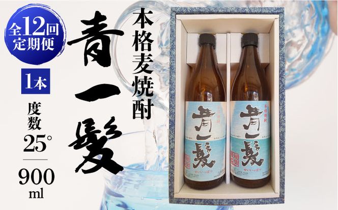 【12回定期便】本格 麦焼酎 青一髪 25° 900ml×2本 / 贈答用 酒 焼酎 南島原市 / 久保酒造場 [SAY013]