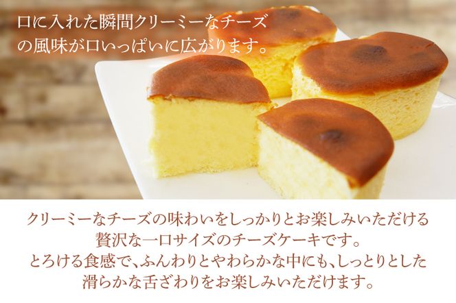 半熟チーズケーキ（20個）（KD-13）