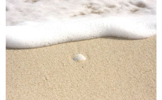 【datta.沖縄南の島陶芸工房】沖縄の海砂のモダンシーサー