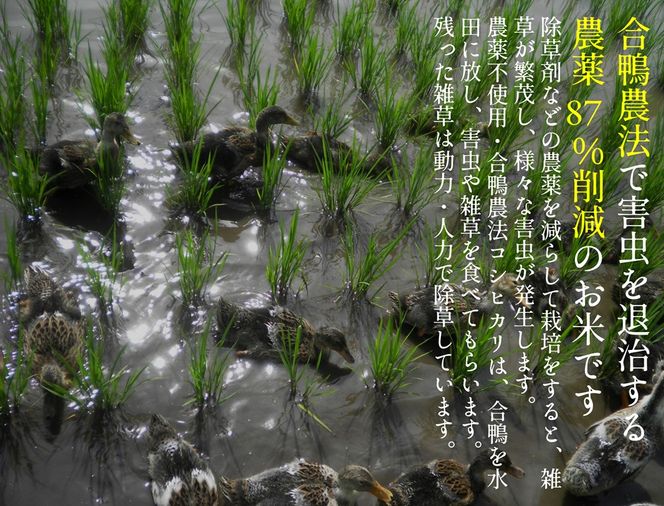 【令和5年産米】農薬87%削減　コシヒカリ米　合鴨農法　10kg(特別栽培米、旧名：会津磐梯山黄金米） 