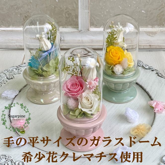 yʌtszAJ182-1 vU[uht[@H@sN@ts VK[pC