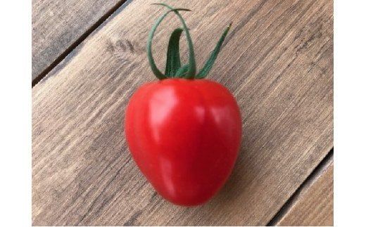 【4月～6月の定期便】たっぷり約2㎏×3回！ 人気No.1トマトベリーの定期便 野菜ソムリエサミット 金賞 受賞 長田農園 産地直送 トマト とまと 野菜 やさい フルーツ サラダ 濃厚 甘い ご褒美 プレゼント 美容 健康 リピート多数 人気 高評価 数量限定 碧南市 H004-131