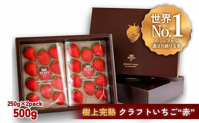 完熟クラフト苺BERRY】有名シェフ御用達【樹上完熟赤いちご】約500g