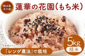 蓮華の花園(もち米) 5kg 精米 JAやつしろカントリー利用組合 熊本県 氷川町《30日以内に出荷予定(土日祝除く)》---hkw_jac_1_5kg---
