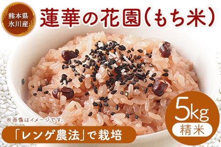 yF{X쒬z@؂̉ԉ() 5kg  JAJg[pg F{ X쒬s30ȓɏoח\(yj)t---sh_jacomoti_30d_24_14500_5kg---