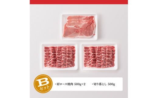 ※内容が選べる！※宮崎県産豚肉 小野さんちの豚肉 焼肉＆切り落とし 計1.5kg 【 豚肉 豚 肉 国産 九州産 選択 ３通り 】【E10503】