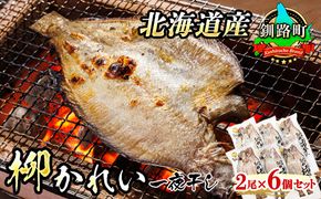 柳かれい 一夜干し 2枚×6個セット | 北海道産 柳かれいを 一夜干しに！ おつまみ 焼魚 焼き魚 定食 魚 干物 セット ひもの 冷凍 人気の 訳あり！ 年内配送 年内発送 北海道 釧路町 釧路超 特産品　121-1920-286