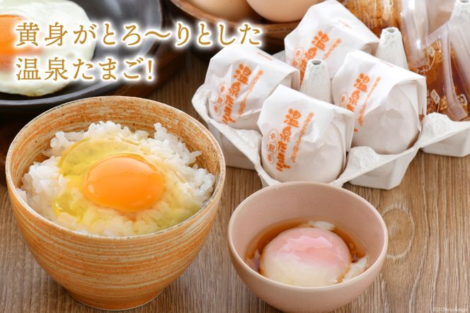 濃厚 プリン 6個 たまご 10個 ×2種 温泉たまご 8個 だし付き [ナカヤマエッグ 石川県 宝達志水町 38600467] 卵 タマゴ 桜っ子 能登鶏 ぷりん 食べ比べ お試し セット 詰め合わせ 卵かけご飯 卵かけ ご飯 たまごかけごはん スイーツ