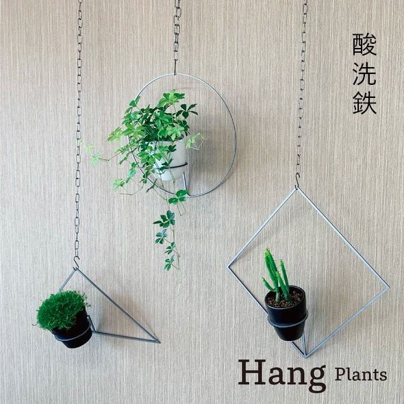 ymKczGRAVIRoN Hang Plants V[Y Triangle/Diamond/Round Zbg _SivcnK[j ϗtA v^[