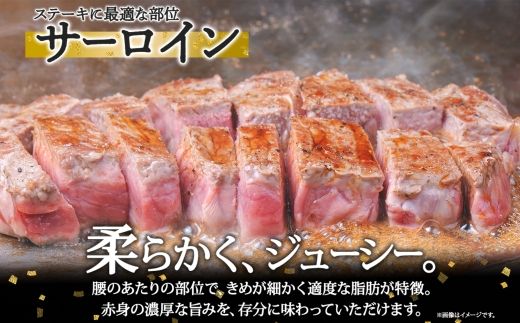 北海道 しほろ牛 サーロイン ステーキ 200g前後 2枚 ＆ しほろ牛 ハンバーグ150g 4個 セット 肉 牛 赤身肉 国産牛 肉 ビーフ 牛肉 冷凍 お取り寄せ 送料無料 十勝 士幌町【L12】