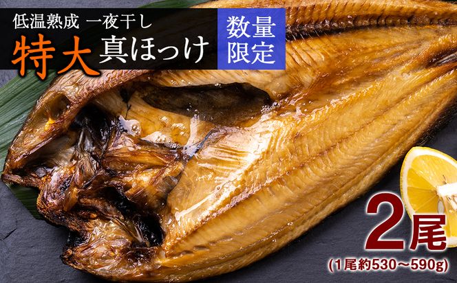 ykCVzቷn 銱  ^ق Q kCY AA024