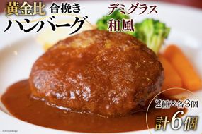 日向100年ハンバーグ (デミグラス・和風) 2種×3 計6個 [サニーガーデン 宮崎県 日向市 452061263] 加工品 惣菜 個包装 レンジ 簡単 冷凍