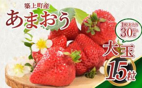 【1月中旬以降順次発送】築上町産 あまおう  1箱 15粒《築上町》【エースいちご株式会社】 大粒 あまおう 苺 いちご ギフト 贈答[ABAG004]