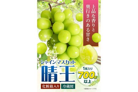 【2025年先行予約】シャインマスカット晴王 はれおう 1房入り(700g以上) 化粧箱入 株式会社山博(中本青果)《2025年8月下旬-10月上旬頃より出荷予定》岡山県 浅口市 ぶどう ブドウ マスカット 大粒 フルーツ 秀品 旬 果物 贈り物 ギフト お取り寄せフルーツ 送料無料---124_c250_8g10j_23_22000_480g---